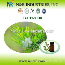 Reliable supplier tea tree oil bulk